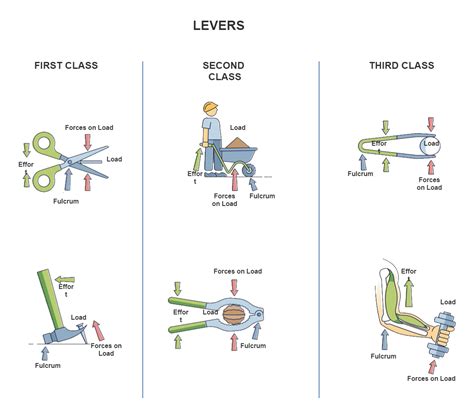 Lever Forces Stock Illustration | Mechanical advantage, Simple machines, Science diagrams