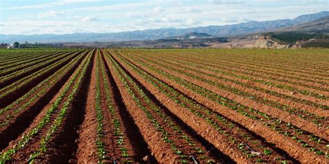 Regenerador Biológico De Suelos Jisa Fertilizantes Agrícolas