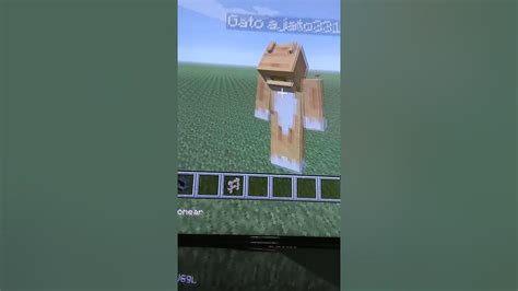 Como Deixar Qualquer Bicho De Cabeça Para Baixo No Minecraft E Como