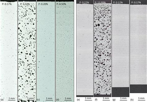light microscope pictures  cross sections sampled   position