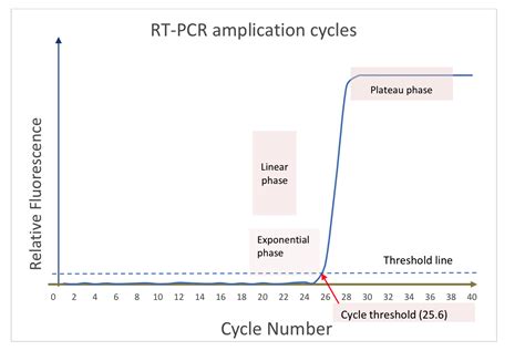 Covid 19 How Long It Will Take For A RT PCR Test CT Value To Go To