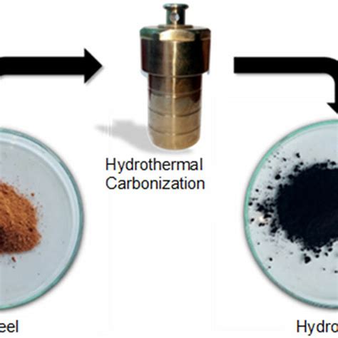 Schematic Illustration Of Hydrochar Formation Using Hydrothermal