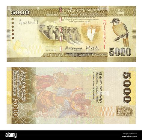 Banknotes 5000 Sri Lankan Rupees Stock Photo Alamy