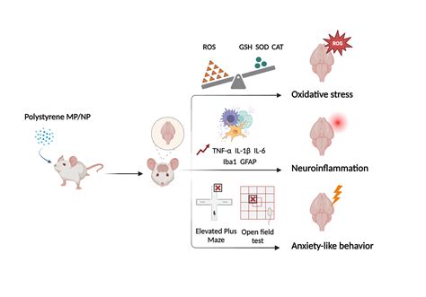 Effects of microplastics | BioRender Science Templates