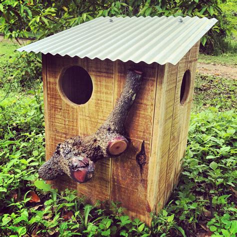 How To Make A Lorikeet Nesting Box - Howto Draw