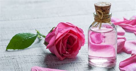 7 Benefits Of Rose Water On Face And How To Use