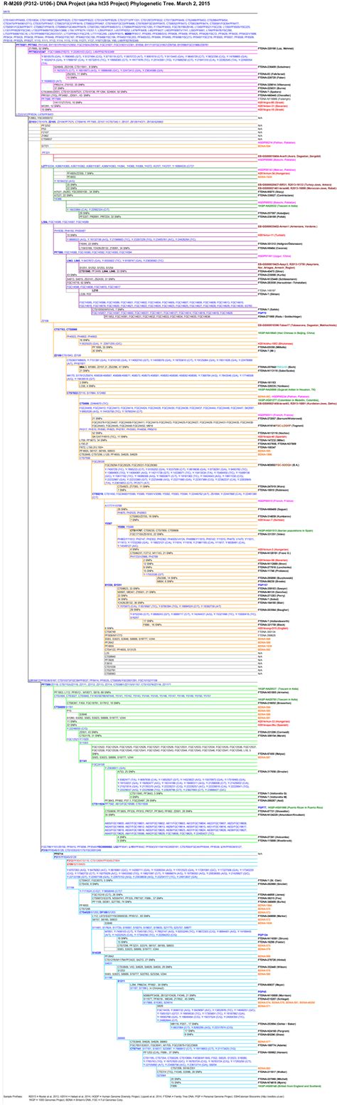 Family Tree DNA - R1b-M269 (P312- U106-) DNA Project - Background ...