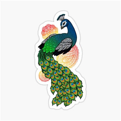 Peacock Stickers | Redbubble