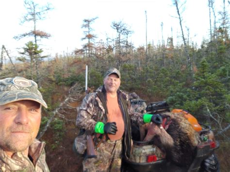 Moose Gallery Caribou Cove Outfitters Big Game Hunting In