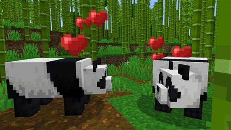 Hur föder man upp pandor i Minecraft Moyens I O