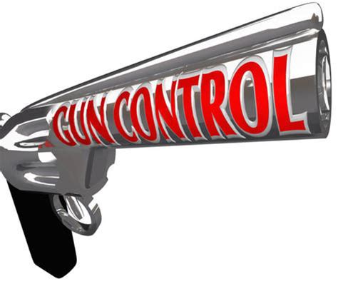 Petition Should the federal government make stricter gun control laws?