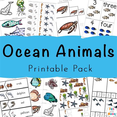 Ocean Animals Pictures Printable