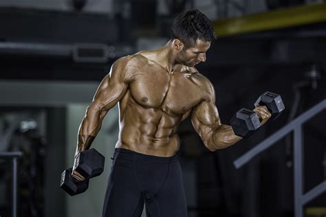 Best Exercises For Massive Forearms You Should Try Today Muscles