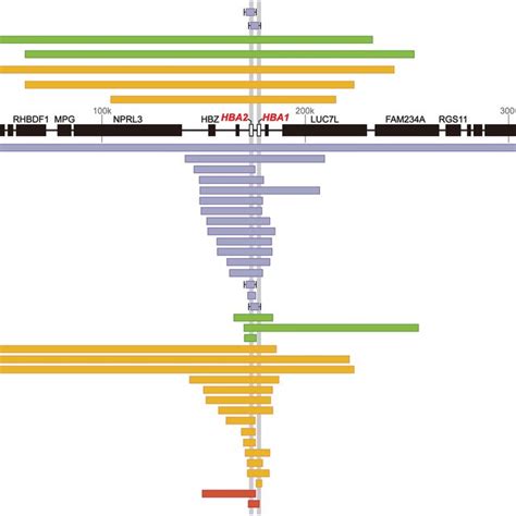 Overview Of The Cnvs Involving The α Globin Gene With Precise