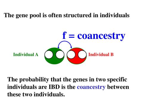 Ppt Quantitative Genetics And Breeding Theory Powerpoint Presentation