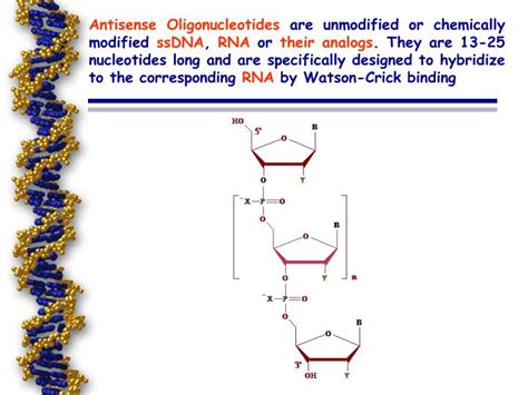 Ppt Antisense And Ribozyme Technology Powerpoint Presentation Id