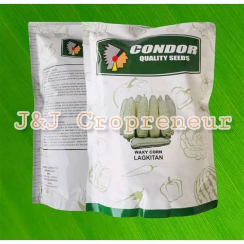 LAGKITAN CORN KILO WHITE WAXY CORN BY CONDOR SEEDS Lazada PH