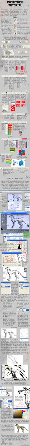 Photoshop Tutorial Beginners By Vierdz On Deviantart