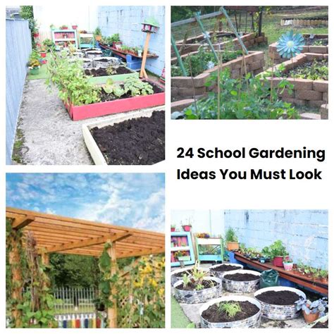 24 School Gardening Ideas You Must Look SharonSable