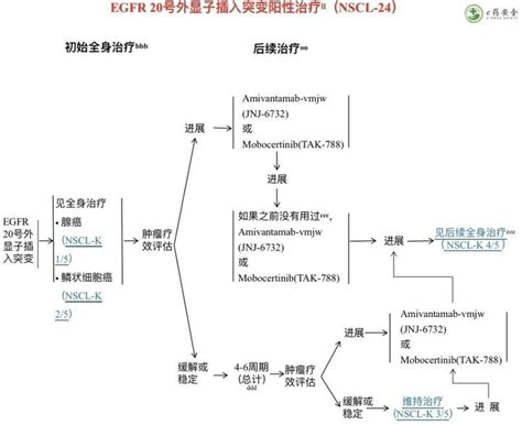 Nccn丨非小细胞肺癌临床实践指南2023 1版①（中文） 知乎