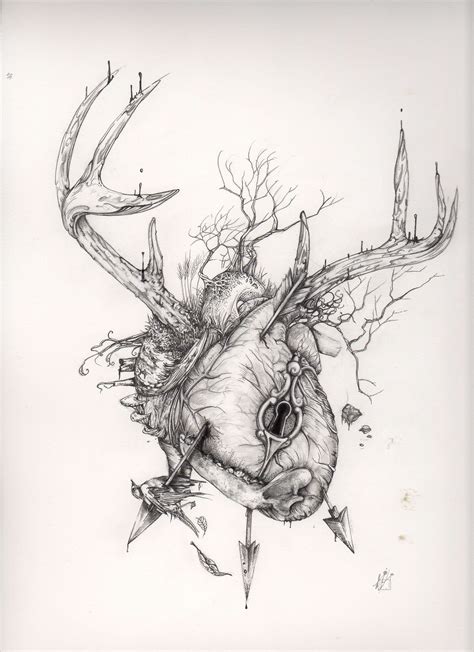 deer heart  behance
