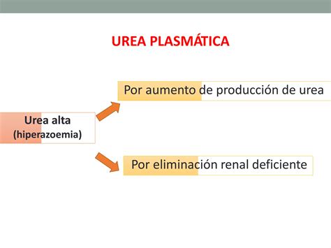 Laboratorio Cl Nico Enfermedades Renales Examen De Orina Pruebas