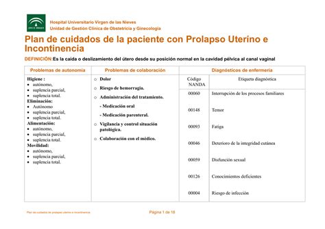 Ejemplos De Plan De Cuidados De Enfermeria Nanda Nic Noc Opciones De