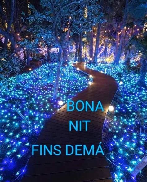 Bona Nit Artofit