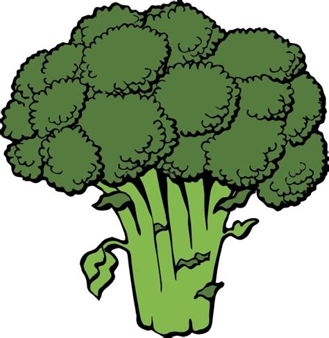 Broccoli clip art Free vector in Open office drawing svg ( .svg ) vector illustration graphic ...