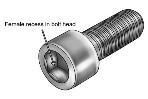 What Are The Different Types Of Socket Wonkee Donkee Tools