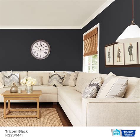 Hgtv Home By Sherwin Williams Tricorn Black Hgsw Paint Sample Half