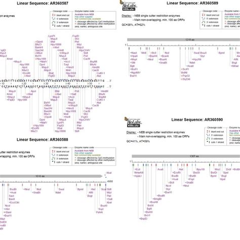 NEB restriction enzyme digestion of unidentified sequences of patents... | Download Scientific ...