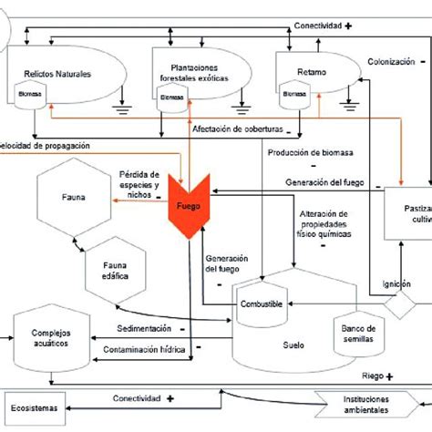 Símbolos De Lenguaje Energético De Odum Fuente Modificado De Odum Y