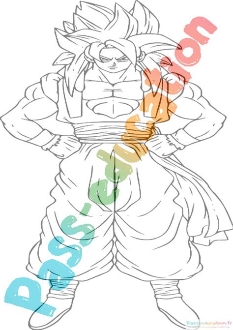 Coloriage Gratuit Sangoku Pdf Imprimer