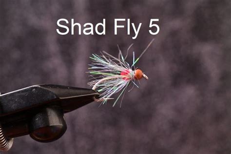 Shad Flies Saltwater Custom Flies