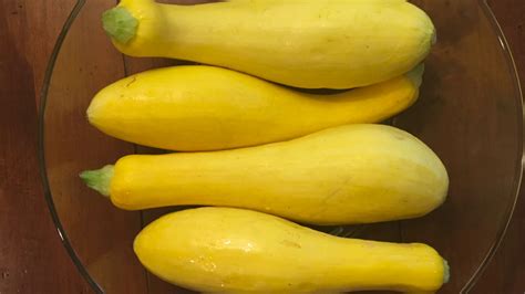 Storing And Cooking Yellow Squash Youtube