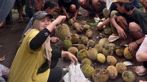 Berburu Durian Dikebun Makan Sampai Mau Muntah Bolang