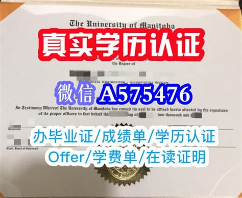 一比一原版新加坡管理大学毕业证（management毕业证）如何办理 Ppt