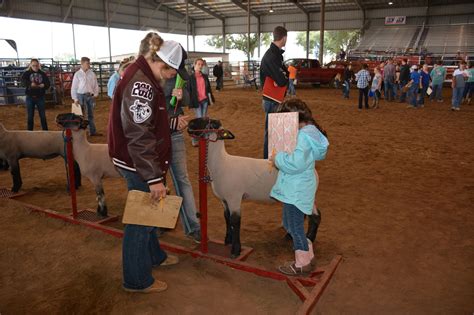 Jr Livestock Judging Contest