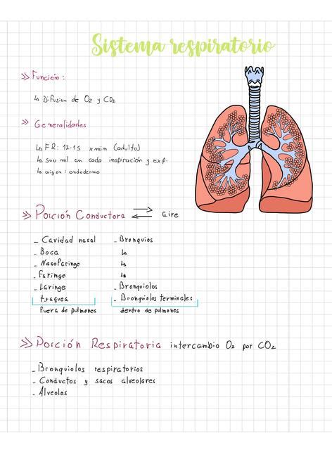 Sistema Respiratorio RENATO DAVID ROJAS CANOVA UDocz