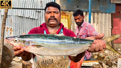 Kasimedu Speed Selvam Very Rare Fish Cutting In Kasimedu K