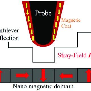 Schematics of magnetic force probe microscope. | Download Scientific Diagram