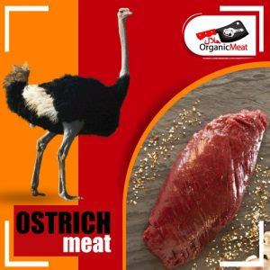 Camel Meat – Halal Organic Meat