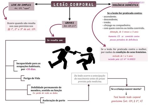 120 Mapas Mentais De Penal E Processo Penal 2 Tudo Mapeado