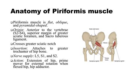 Piriformis Syndrome.pdf