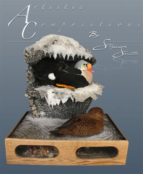 Sea Duck And Waterfowl Taxidermy Sea Duck And Goose Mounts Habitat