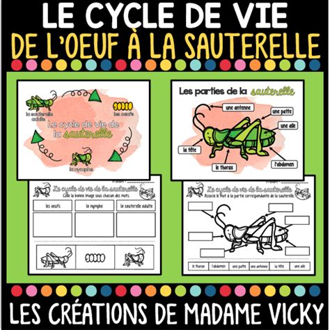 Cycle De Vie La Sauterelle