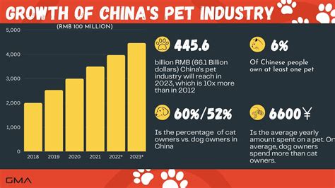 Premium Pet Food Is Booming In China Here S Why Marketing China