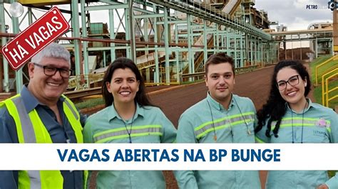 Bp Bunge Abre Mais De Vagas De Emprego Foco Em Profissionais