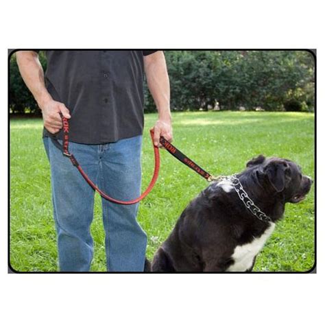 Rok Straps Dog Leash (Red) 15-30 kg (30-60 lbs) - PetBucket